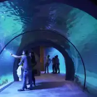 Тунель