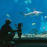 Зал изучения акул